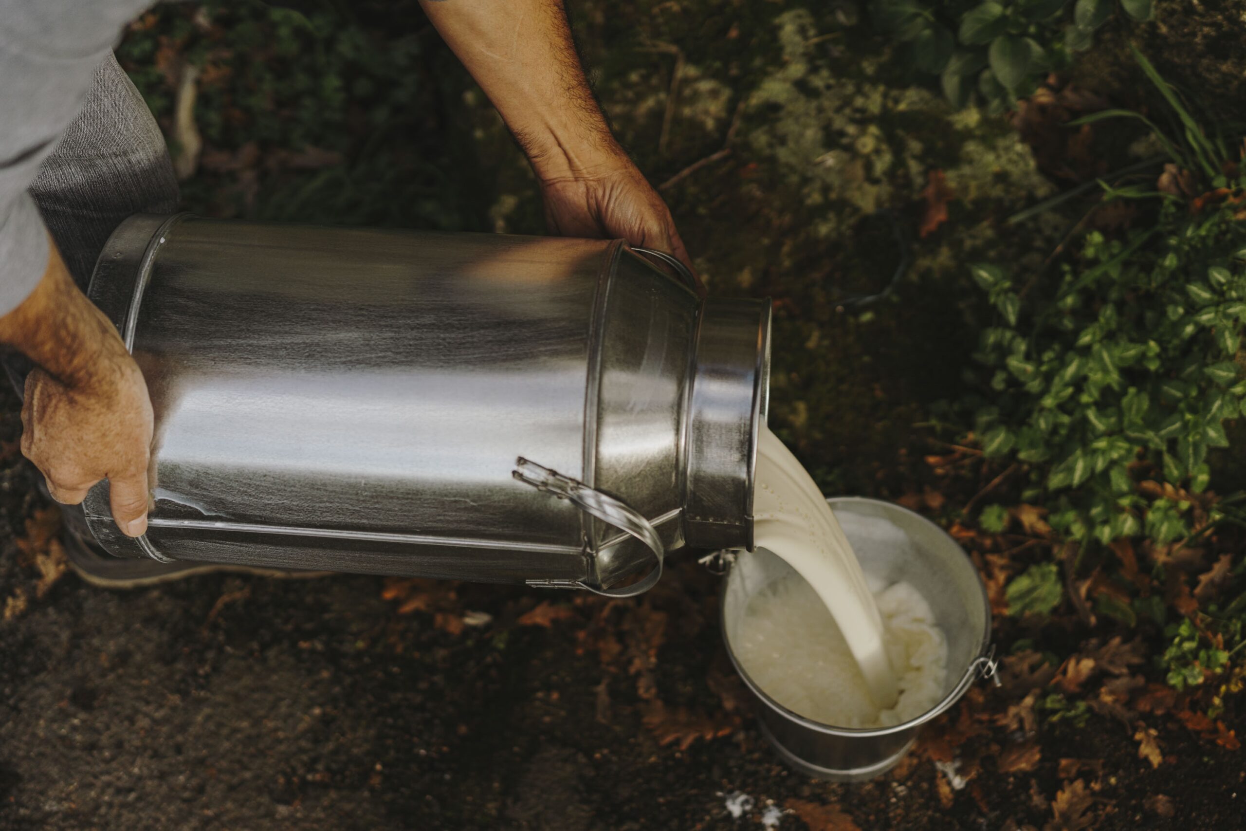 Milk sourcing