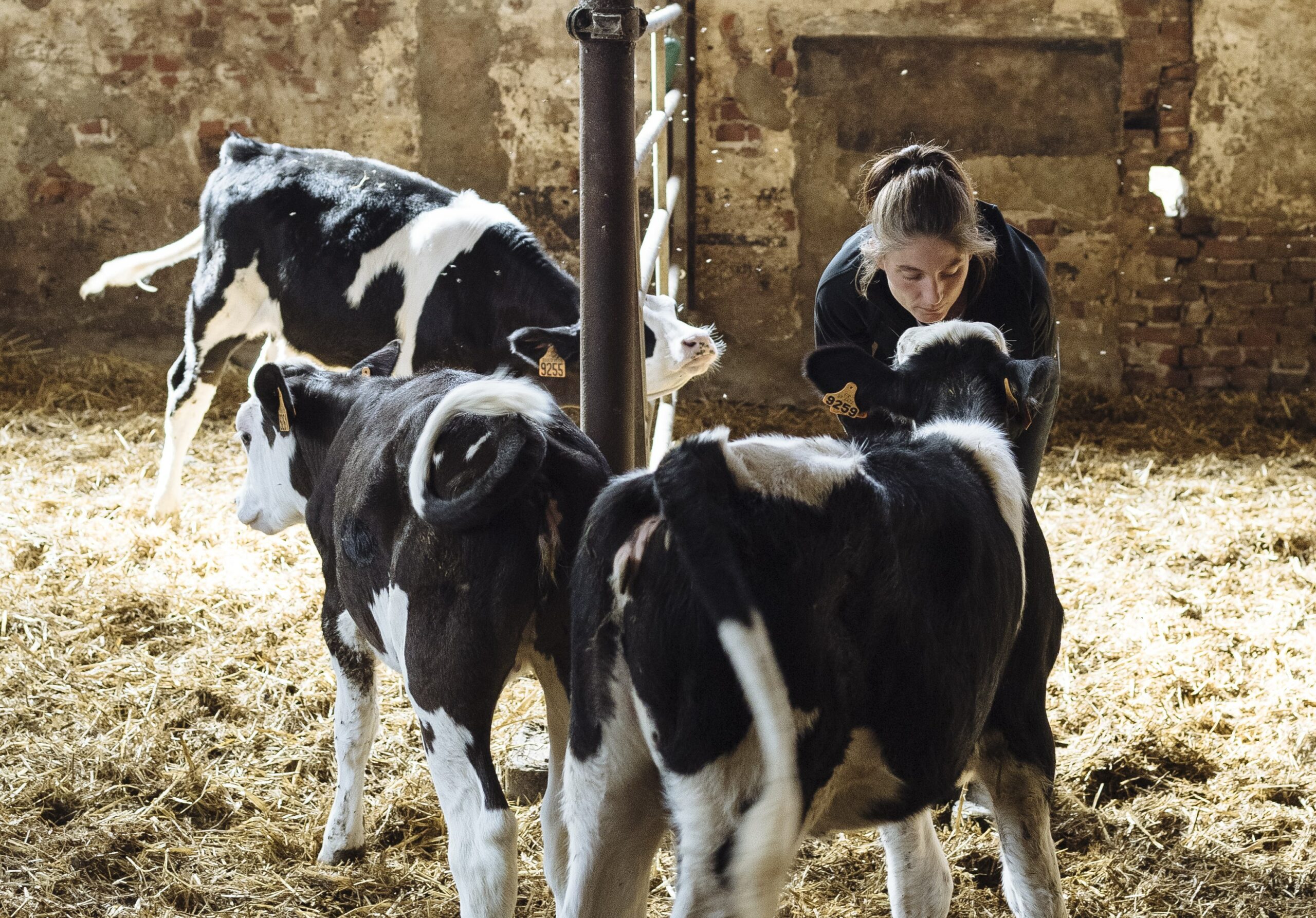 Supporting the needs of farmers danone