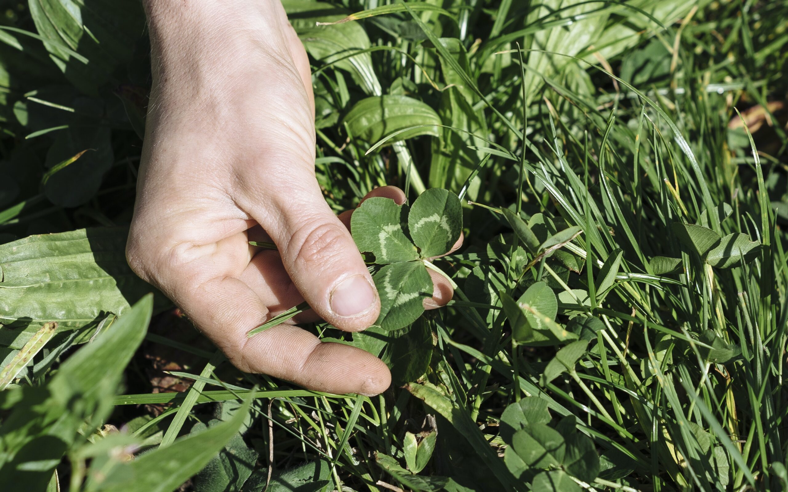 farming for the planet