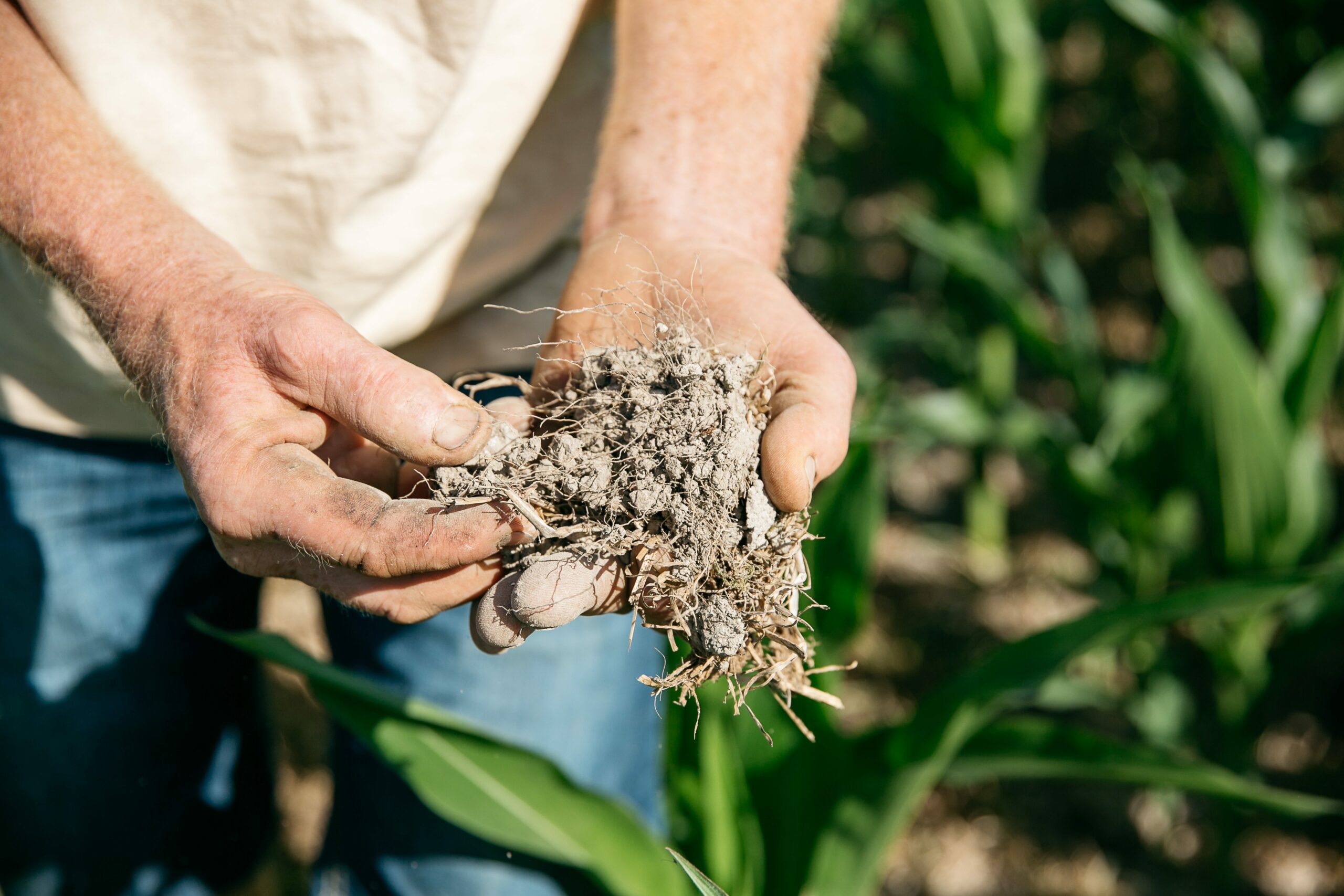 we live by our soil